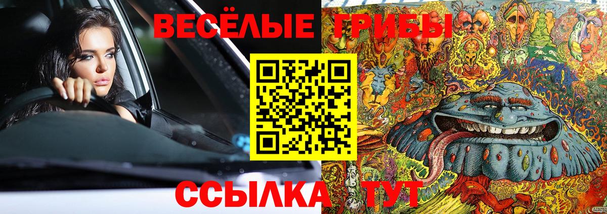 Псилоцибиновые грибы прущие грибы  Вход с VPN  Михайловка 